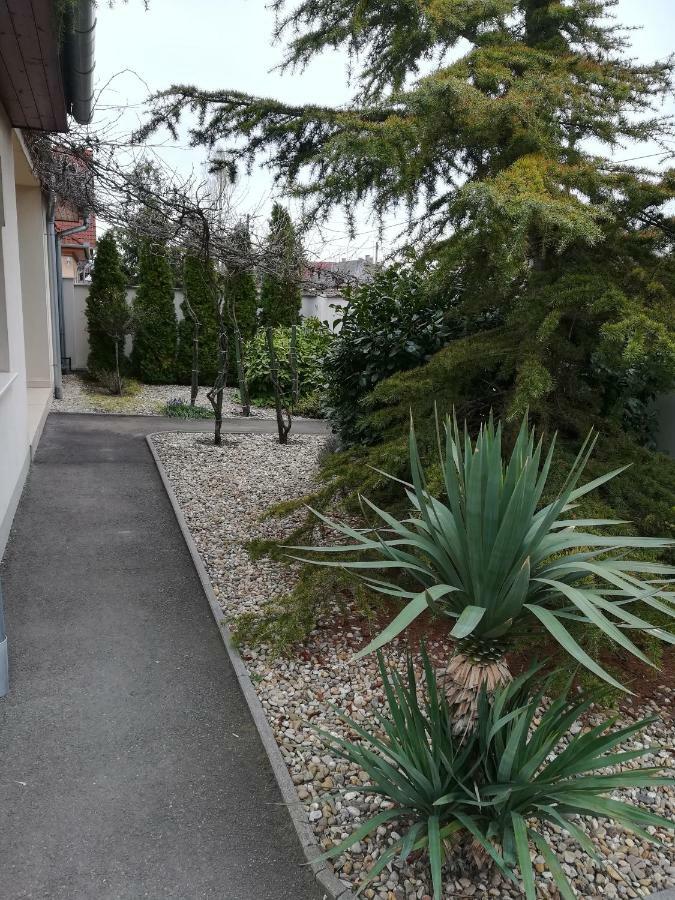 Luxury Apartman Lejlighed Baja Eksteriør billede
